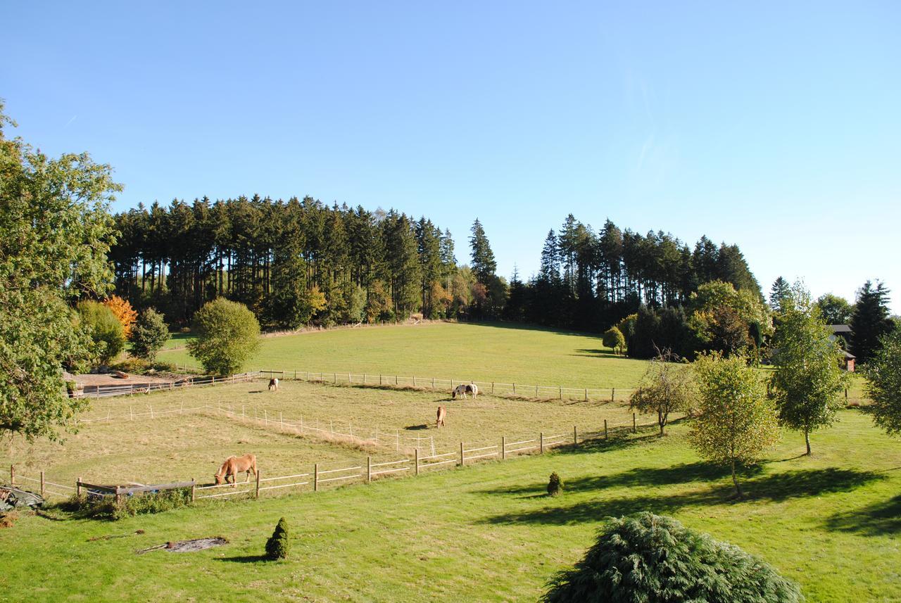 Landgasthof Gruss Brilon Exterior foto